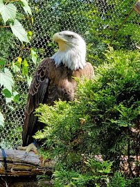 Cleveland Metroparks Zoo photo 5