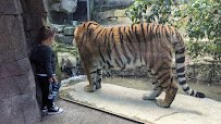 Cleveland Metroparks Zoo photo 6
