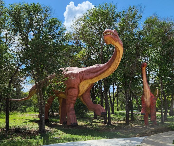 Bandera Natural History and Art Museum photo 3