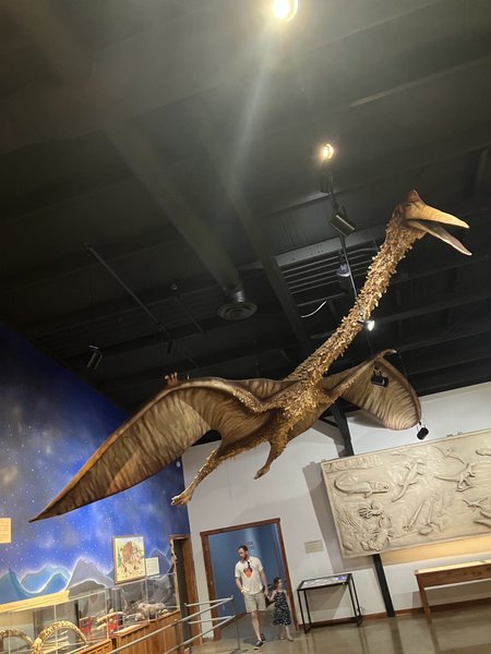 Bandera Natural History and Art Museum photo 5