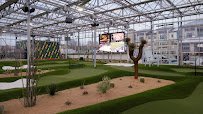 Tap Ins at the Greenhouse