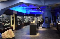 Asheville Museum of Science