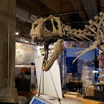 Asheville Museum of Science photo 3