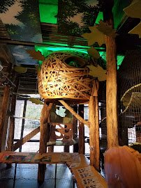 Asheville Museum of Science photo 5
