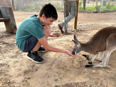 Missouri Down Under Adventure Zoo photo 4