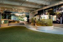 Children's Museum & Theatre of Maine photo 6