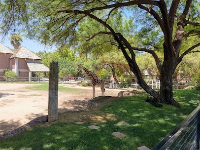 Reid Park Zoological Society photo 2