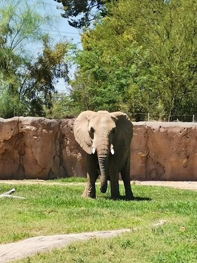 Reid Park Zoological Society photo 5