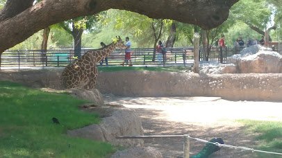 Reid Park Zoological Society photo 6