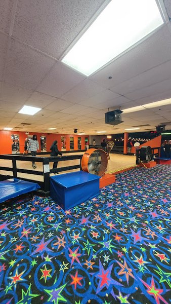 The Rink photo 3