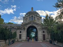 Komodo Dragons, Bronx Zoo photo 3