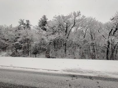 Flynn Rink photo 6