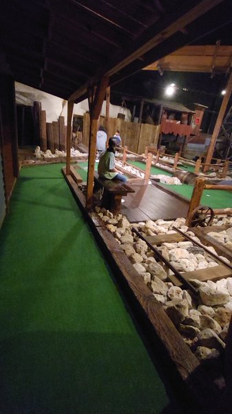 US Golf and Games photo 2