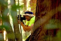 Redwood Ops Outdoor Laser Tag photo 5