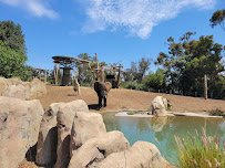 San Diego Zoo Wildlife Alliance