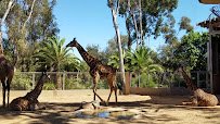 San Diego Zoo Wildlife Alliance photo 2