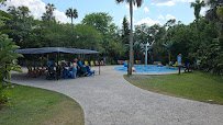 Wharton-Smith Tropical Splash Ground