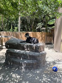 Wharton-Smith Tropical Splash Ground photo 3