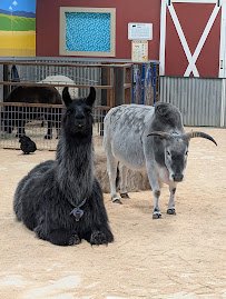 Big Red's Barn Indoor Animal Experience and Education photo 3