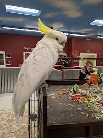 Big Red's Barn Indoor Animal Experience and Education photo 5