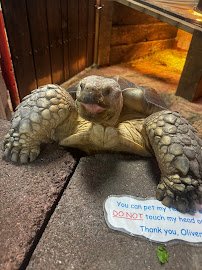 Big Red's Barn Indoor Animal Experience and Education photo 6
