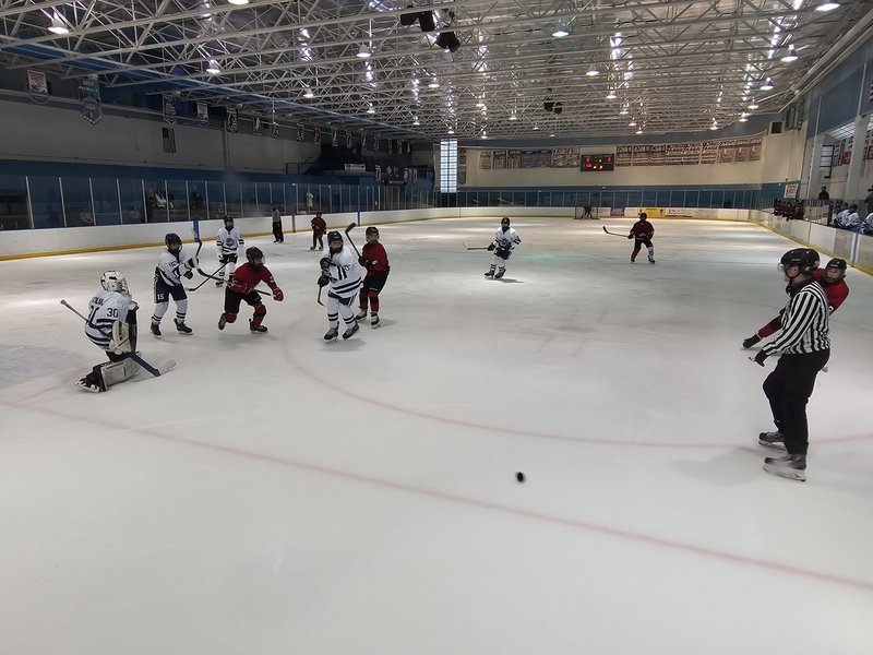 Mennen Sports Arena photo 3
