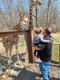 Indian Creek Zoo