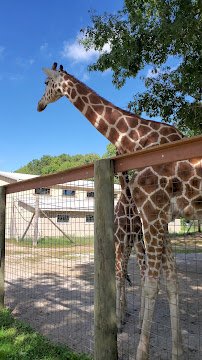 Indian Creek Zoo photo 2