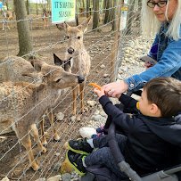Indian Creek Zoo photo 4