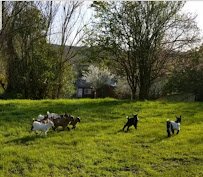 BlueCopperFarmPettingZoo photo 5