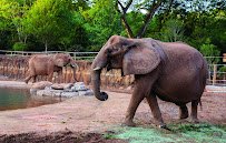 Zoo Atlanta photo 3