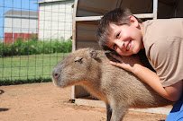 Snider Family Exotics