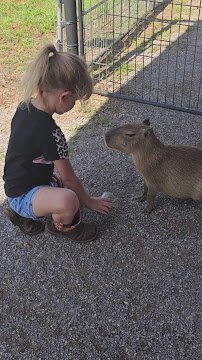 Snider Family Exotics photo 2