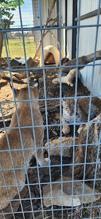Snider Family Exotics photo 3