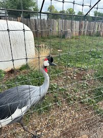 Snider Family Exotics photo 5
