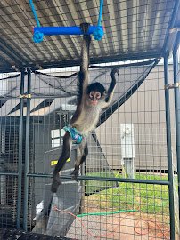 Snider Family Exotics photo 6