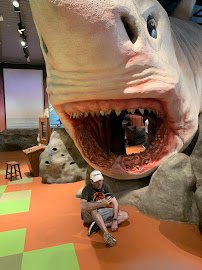 Museum of Discovery and Science photo 5