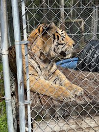 Kowiachobee Animal Preserve