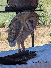 Raptor Adventures photo 2