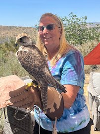 Raptor Adventures photo 3