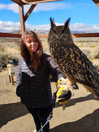 Raptor Adventures photo 4