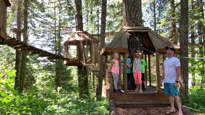 Tree to Tree Adventure Park photo 2
