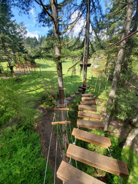 Tree to Tree Adventure Park photo 3