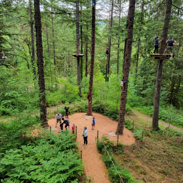 Tree to Tree Adventure Park photo 5