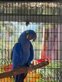 Lory Landing photo 3