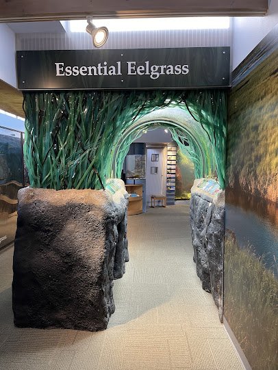 Breazeale Interpretive Center and Aquarium photo 4