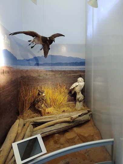 Breazeale Interpretive Center and Aquarium photo 6