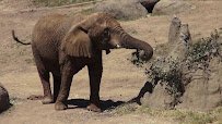 Oakland Zoo photo 2
