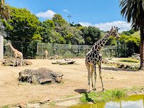 Oakland Zoo photo 3