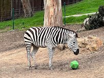 Oakland Zoo photo 5